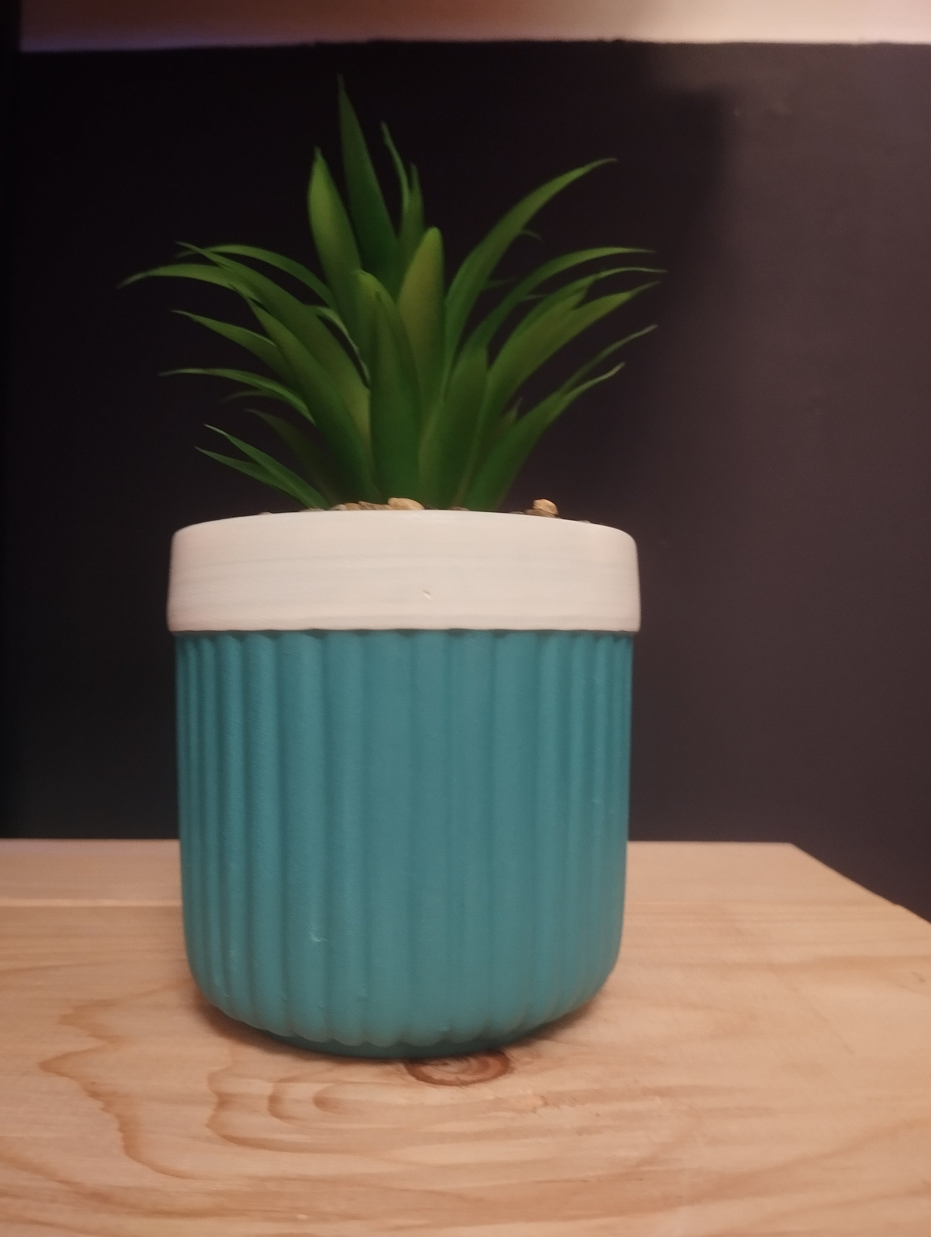 Mini Piante Color Vibes – Un Tocco di Natura e Allegria in Ogni Spazio! 🌈🌿
